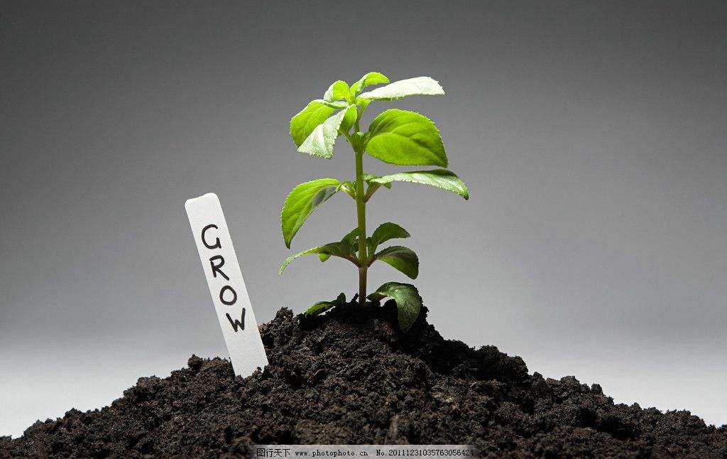 土壤水分測(cè)定儀